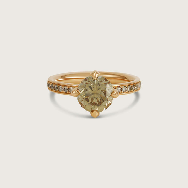 Fleur de Luce Round Brown Diamond Solitaire Ring with Pavé Band in 18k Rose Gold