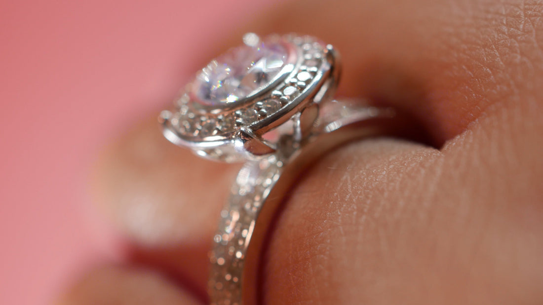 The Fleur de Luce Story