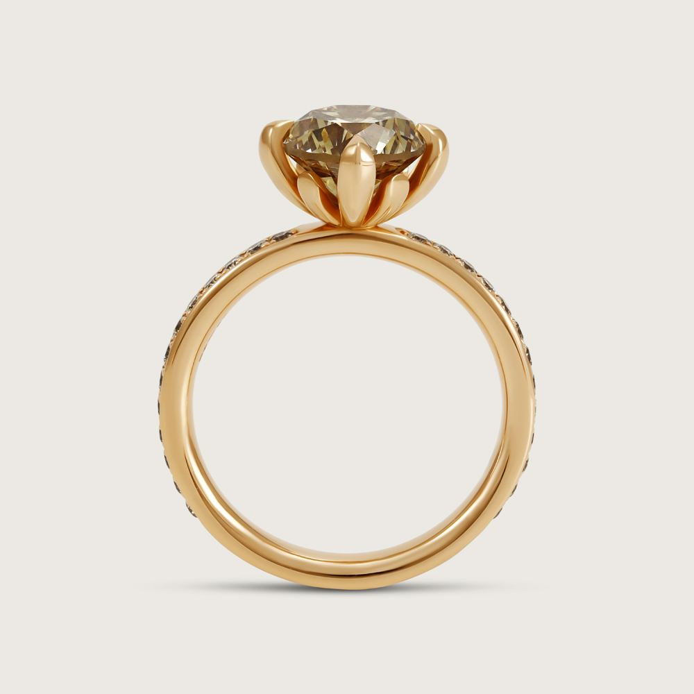 Fleur de Luce Round Brown Diamond Solitaire Ring with Pavé Band in 18k Rose Gold