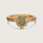 Fleur de Luce Round Brown Diamond Solitaire Ring with Pavé Band in 18k Rose Gold