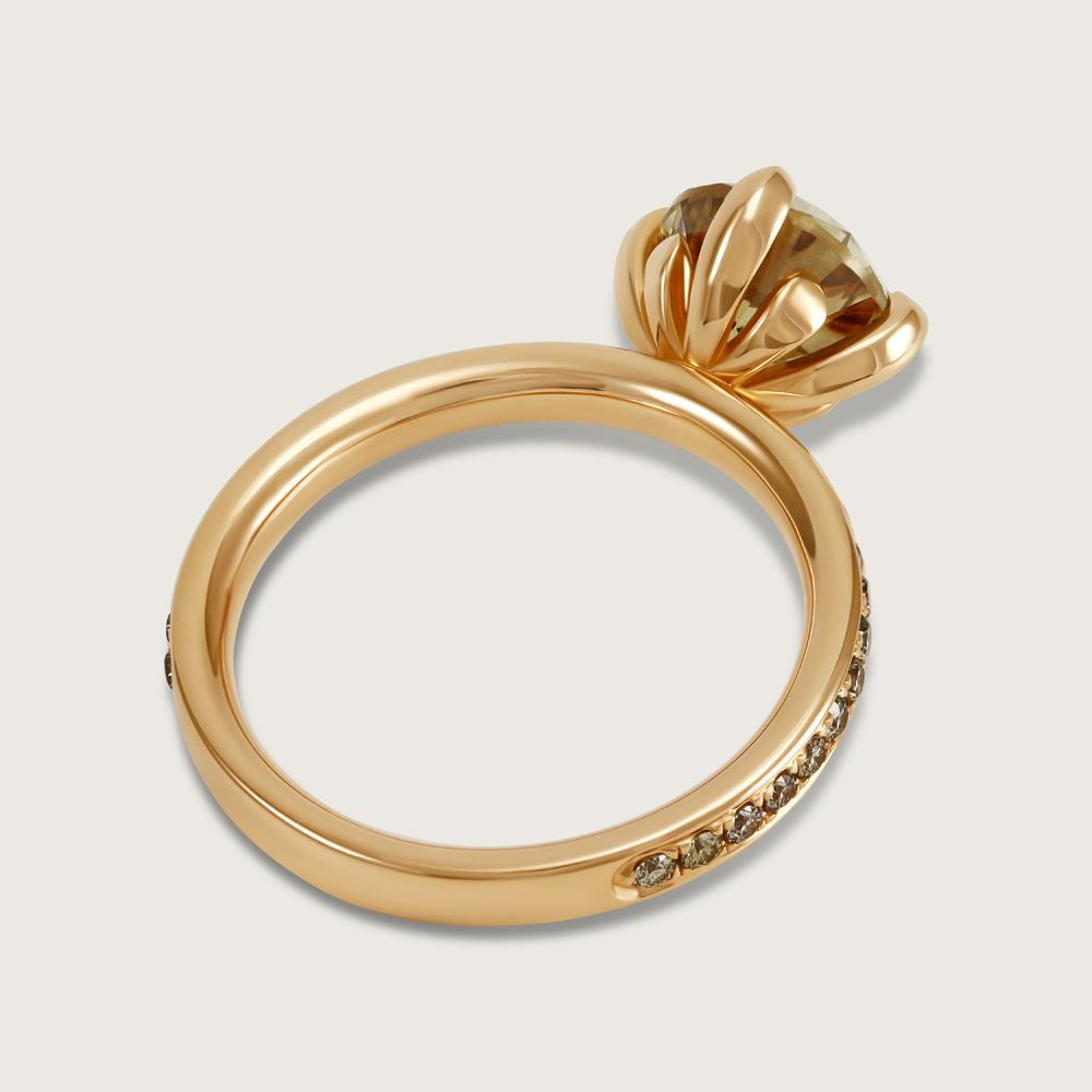 Fleur de Luce Round Brown Diamond Solitaire Ring with Pavé Band in 18k Rose Gold