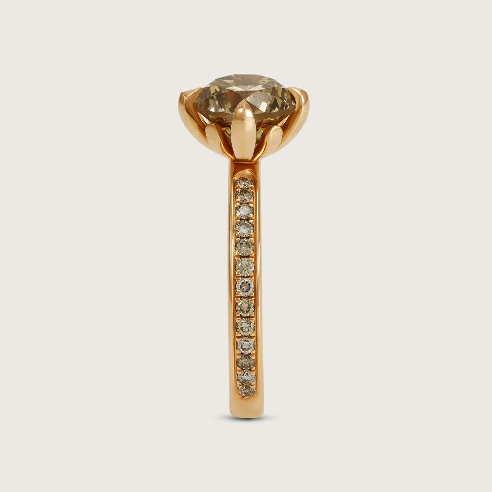 Fleur de Luce Round Brown Diamond Solitaire Ring with Pavé Band in 18k Rose Gold