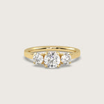 Diamond Trilogy Engagement Ring in Fleur de Luce Setting